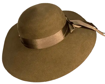 Sombrero Paño Capelina